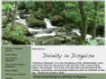 divinityindisguise.com