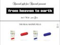 from-heaven-to-earth.com