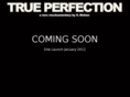 trueperfectionfilm.com