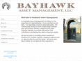 bayhawkllc.com