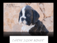 carpediemboxer.es