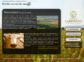 fattoriacarpineto.com