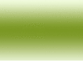 mindm.co.za