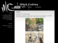 mitchcudney.com
