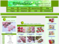 ribbonlands.com