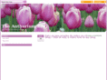 anthuriumblog.com