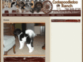 cockapoosonline.com
