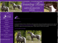 countryroseminis.com