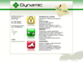 dynamicservicesrl.com