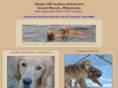 maplehillgoldens.com