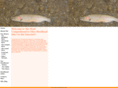 ohiosteelhead.info