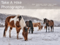 takeahikephotography.com