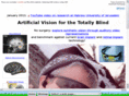 artificialvision.com