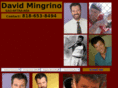 davidmingrino.com