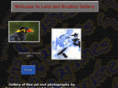 lensandbrushes.com