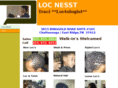 locnesst.com