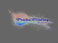 preciseprintingps.com