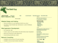 baldguyweb.com
