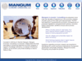 mangum-consulting.com