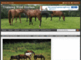 trainingwildhorses.com