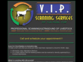 vipscanning.com