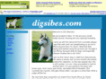 digsibes.com