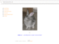 laborkaninchen.de