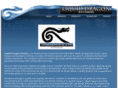 liquiddragon.com