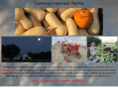 commonharvestfarms.com
