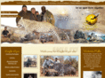 eagleeyesafaris.com
