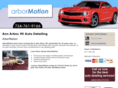 annarbordetailing.com