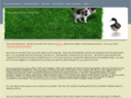 discountdogfence.com