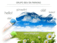 grupobsv.com