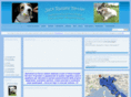 jackrussellitalia.com