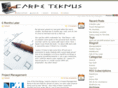 carpeteknus.com