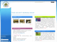 myanmarfswg.com