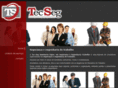 tecsegconsultoria.com