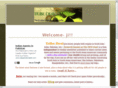 dfwdesi.com