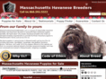 massachusettshavanesebreeders.com