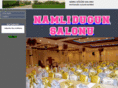 namlidugunsalonu.com