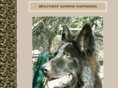 wolfonyx.com