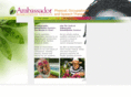 ambassadorrehab.com