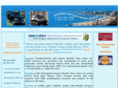 anaheimtowncarservice.com