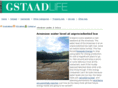 gstaadlife.com