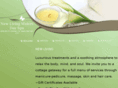 newlivingwatersdayspa.com