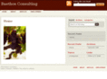 baethosconsulting.com