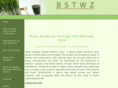 bstwz.com