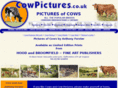 cowpictures.co.uk