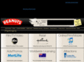 kirkstonetech.com