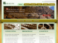 paragon.com.ph